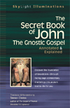 The Secret Book of John: The Gnostic Gospel-Annotated & Explained