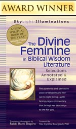 The Divine Feminine in  Biblical Wisdom Literature: Selections Annotated & Explained