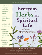 Everyday Herbs in Spiritual Life: A Guide to Many Practices