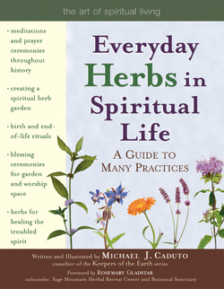 herbs spiritual google herbal books healing everyday plants medicine growth gardening beliefs use practices many guide side kitchen spirituality caduto